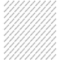 2. Concerto in C - Violin I