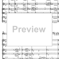 Contrabbasso concertante - Score