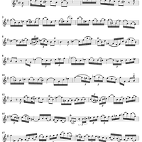 Sonata in E Minor - Flute