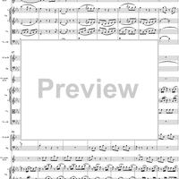 Horn Concerto No. 3 in E-flat Major, K447