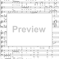 The Andalusian Merchant