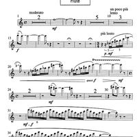 Sylvie et le paon - Flute