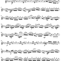 Suite in C Minor, BWV997 - Flute