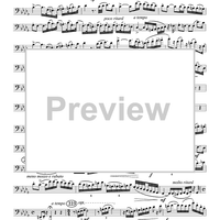 The Yellow Rose of Texas Variations - Euphonium BC/TC