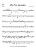 Quo Non Ascendam - Tuba 2