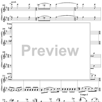 Suite No. 3 for Orchestra. Part 1. Élégie