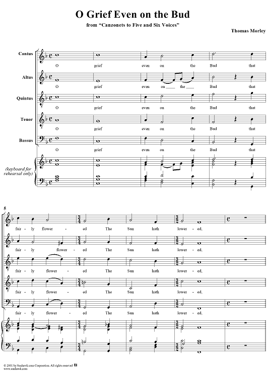 O Grief Even on the Bud