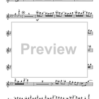 Operatic Rag - Flute