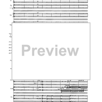 Birds In Light - Full Score