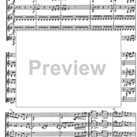 Piccola Suite - Mala Suita - Score