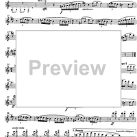 6 canzoni andaluse (6 andalusian songs) - Flute