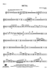 Metal - Flute 2