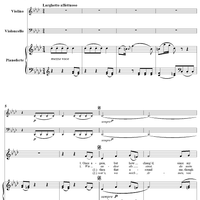 Twenty five Irische Lieder