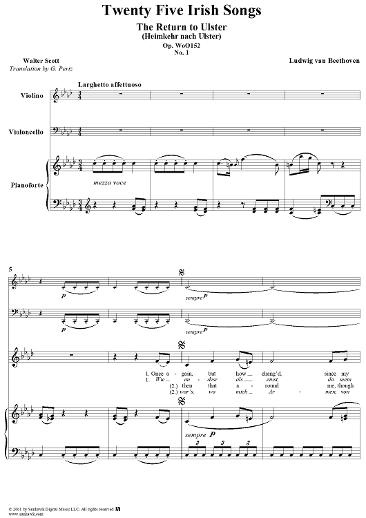 Twenty five Irische Lieder