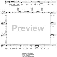 Will You Go, Lassie, Go?