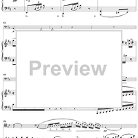 Variations concertantes in D Major Op.17 - Piano