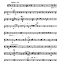 Turkey in the Straw - Horn in F