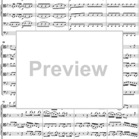 Brandenburg Concerto No. 6: Movement 1 - Score