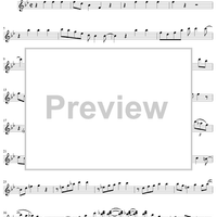 Runnin' Wild! - Vibraphone