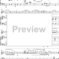 Mazurka in B Minor - Piano Score