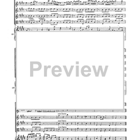 Double Concerto for Recorder and Flute in E minor - Score