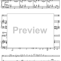 Harry's Wondrous World