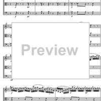 String Trio Bb Major D581B - Score