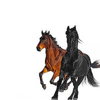 Old Town Road (Remix)