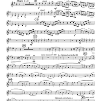 The Yellow Rose of Texas Variations - Euphonium BC/TC