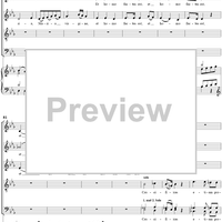 Mass No. 9 (Sancti Bernardi) in B-flat Major, "Heiligmesse": No. 3. Credo