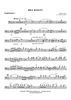 Bill Bailey - Euphonium 1 BC/TC