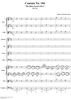 Cantata No. 104: Du Hirte Israel, höre, BWV104