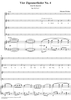 Six Quartets, op. 112, no. 6, Vier Zigeunerlieder, Nr. 4
