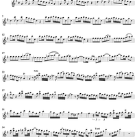 Flute Concerto in G Major, Op. 10, No. 6 - Flute