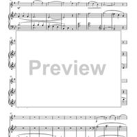 Concert Solo Suite  for Young Players