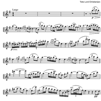 Cadenza Concerto E Major  1st and  2nd movement - Flute