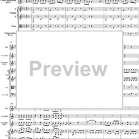 Horn Concerto No. 4 in E-flat Major, K495