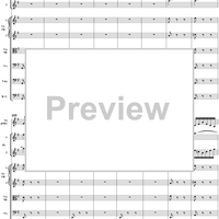 Brandenburg Concerto No. 4: Allegro - Score