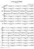 Concerto in E minor: Movement 1 - Full Score