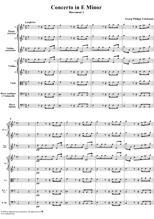 Concerto in E minor: Movement 1 - Full Score