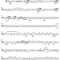 String Quartet No. 6 in B-flat Major, Op. 18, No. 6 - Cello