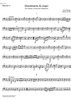 Divertimento No.12 Eb Major KV252 - Bassoon 2