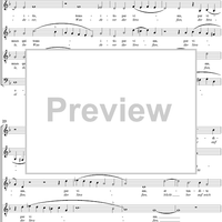 Sieben Chromatische Motetten Des Barock, vol.14, III