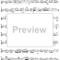 Suite in C Minor, BWV997 - Flute