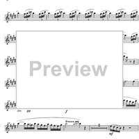 Quintet Op.43 - Flute