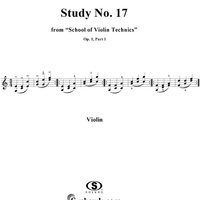 Study No. 17