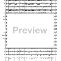 Polka Fantastic - Score