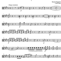 Quartetto No. 7 - Viola