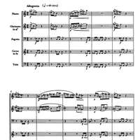 Quintetto Op.91 - Score