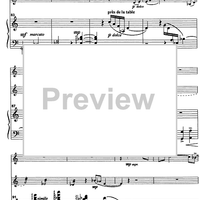 Trio Capriccioso - Score